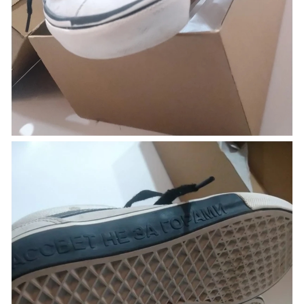 Vans Paccbet Rasvelt